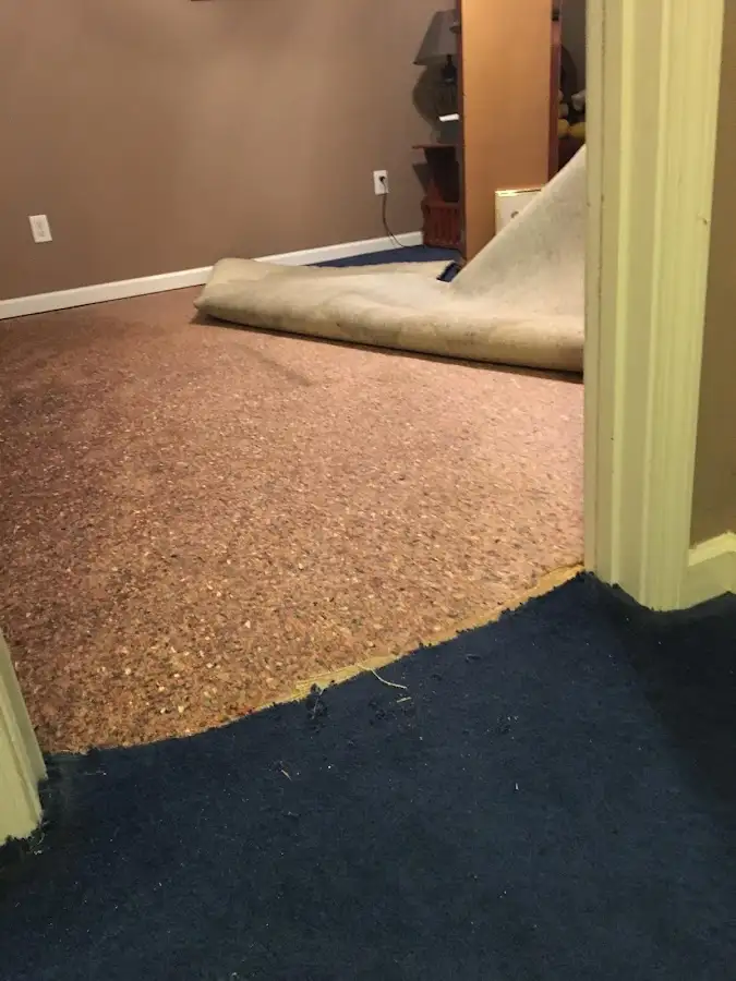 Carpet pad removal revealing water damage during Drying & Dehumidification in Seven Oaks