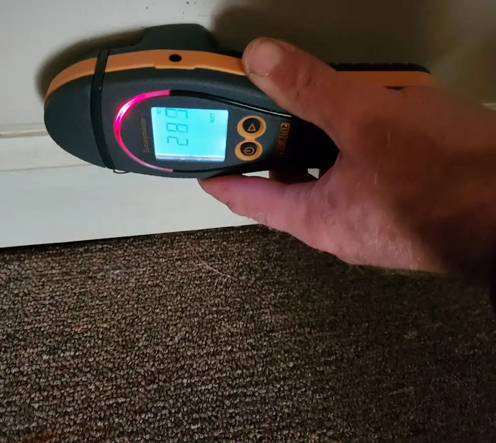 Moisture detection at baseboard during Sewage Cleanup & Sanitation in Seven Oaks